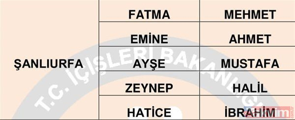 Türkiye'de en çok kullanılan isimler belli oldu 17