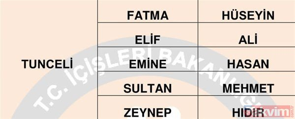 Türkiye'de en çok kullanılan isimler belli oldu 22
