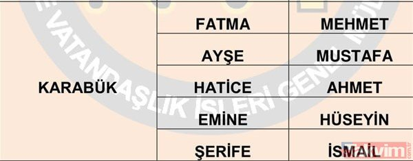 Türkiye'de en çok kullanılan isimler belli oldu 25