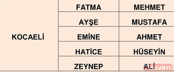 Türkiye'de en çok kullanılan isimler belli oldu 29