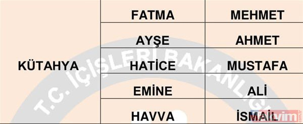 Türkiye'de en çok kullanılan isimler belli oldu 37