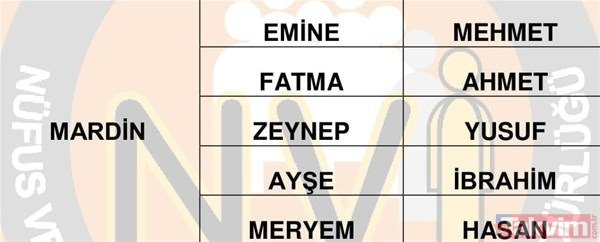 Türkiye'de en çok kullanılan isimler belli oldu 41