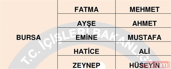 Türkiye'de en çok kullanılan isimler belli oldu 47