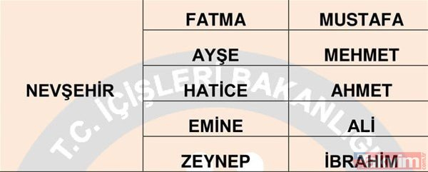 Türkiye'de en çok kullanılan isimler belli oldu 5