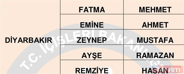 Türkiye'de en çok kullanılan isimler belli oldu 52