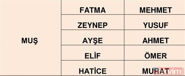 Türkiye'de en çok kullanılan isimler belli oldu 6