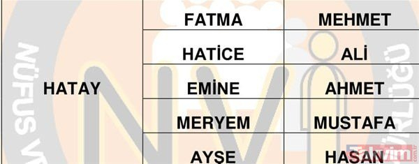 Türkiye'de en çok kullanılan isimler belli oldu 61