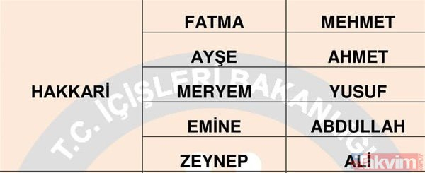 Türkiye'de en çok kullanılan isimler belli oldu 62