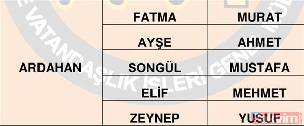 Türkiye'de en çok kullanılan isimler belli oldu 65