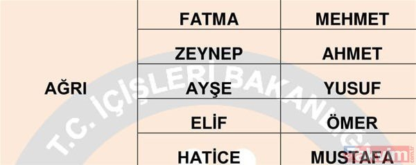 Türkiye'de en çok kullanılan isimler belli oldu 72