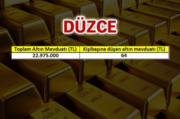 İşte, Türkiye’nin altın zengini illeri! 24