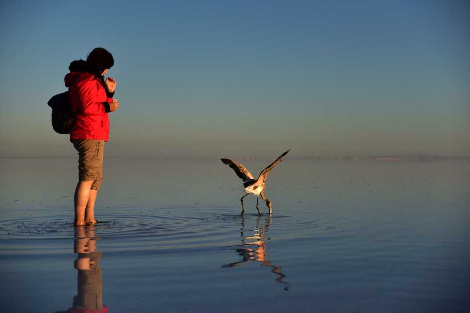 Flamingo cenneti 'Tuz Gölü' 10