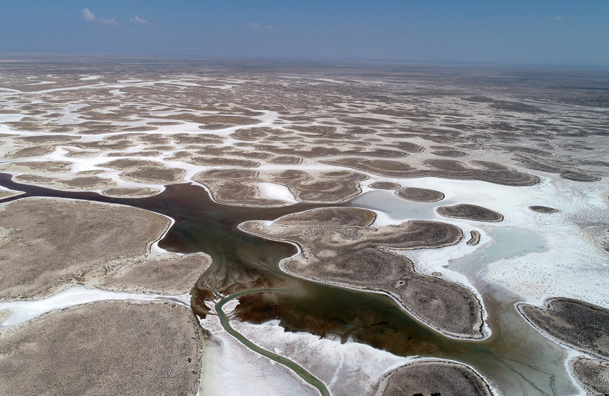 Bozkırın ortasındaki "kuş cenneti" Tuz Gölü 24