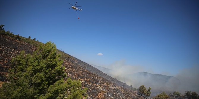 Orman yangınlarına 3 uçak ve 12 helikopterle müdahale ediliyor
