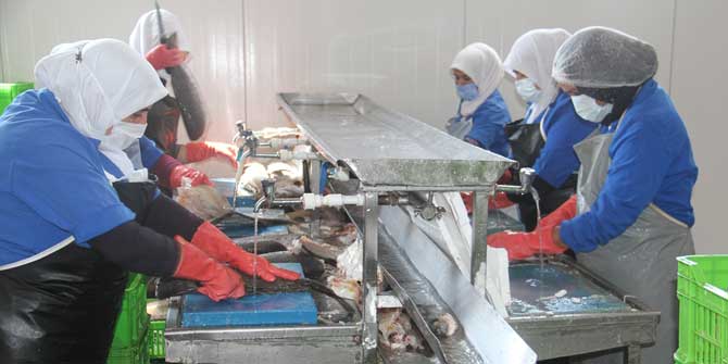 Konya'daki tesisten 5 ülkeye deniz ürünü ihracatı