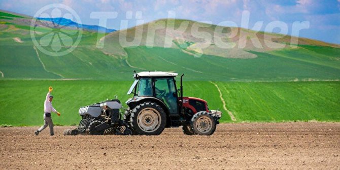 Türkşeker Tarım'dan arpa tohumu ve ekmeklik buğday tohumu satış ihalesi