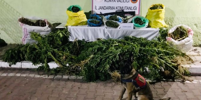 Samanlar arasında 23 kilo esrar ele geçirildi