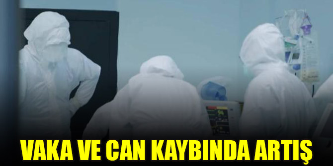 Vaka ve can kaybında artış