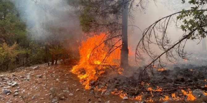 Muğla'da bir günde 15 yangın