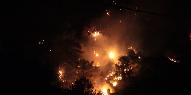 Marmaris’te orman yangını