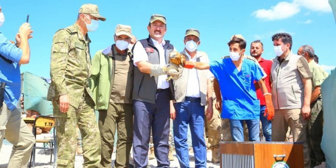 Cudi Dağı Milli Park oluyor