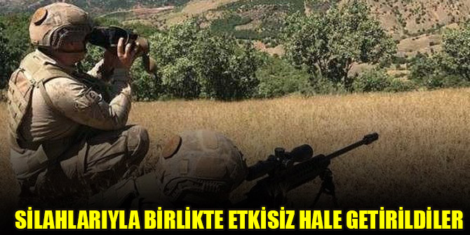 Silahlarıyla birlikte etkisiz hale getirildiler