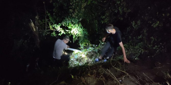 Fındık işçilerini taşıyan minibüs şarampole yuvarlandı: 13 yaralı