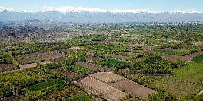 Bingöl'ün Kiğı ve Yayladere bulunan tarım arazileri ihaleyle satılacak
