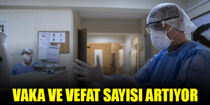 Vaka ve vefat sayısı artıyor