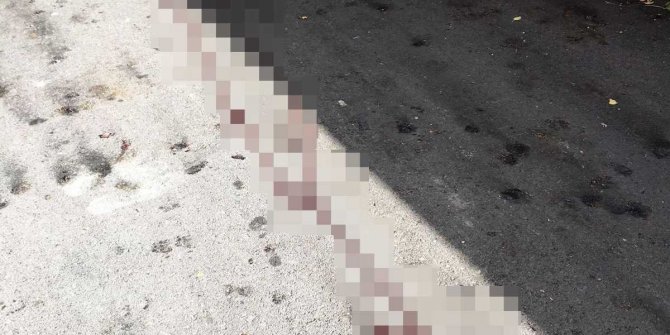 2. kattaki duruşma salonundan aşağı atladı