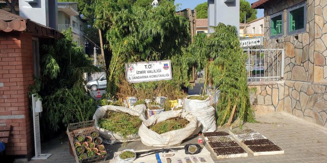 Uyuşturucu operasyonu 63 gözaltı