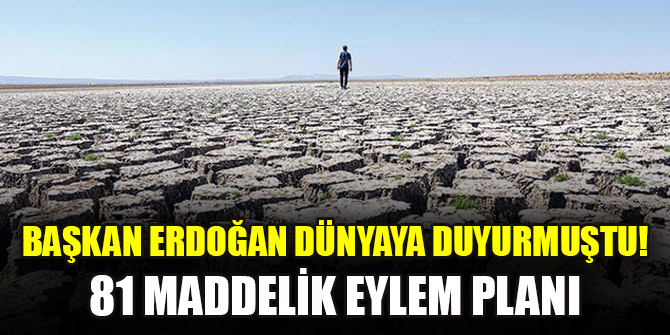 Başkan Erdoğan dünyaya duyurmuştu! 81 maddelik eylem planı