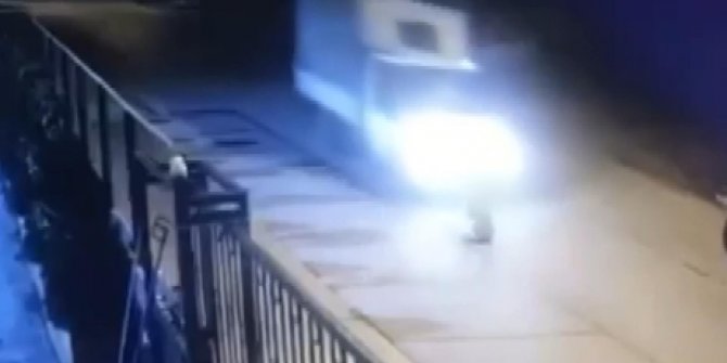 Kamyonetin ezdiği köpek öldü; sürücü durmayarak yoluna devam etti