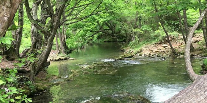 Kırklareli Vize'de C Tipi Mesire Alanı kiraya verilecek