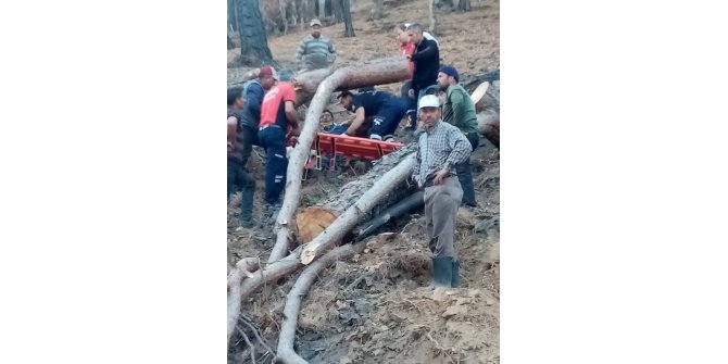 Mersin'de yaralı orman işçisi 2 kilometre sedyede taşınarak hastaneye ulaştırıldı