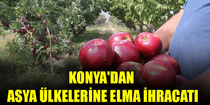 Konya'dan Asya ülkelerine elma ihracatı