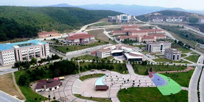 Düzce Üniversitesi öğretim üyesi alım ilanı