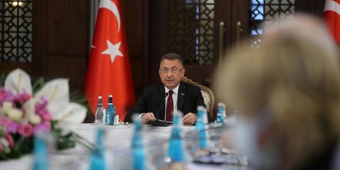 Turkey taking steps for green economy: Vice president