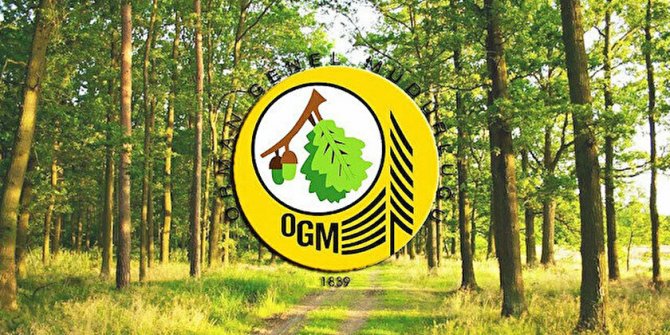 Orman Genel Müdürlüğü sözleşmeli personel alım ilanı