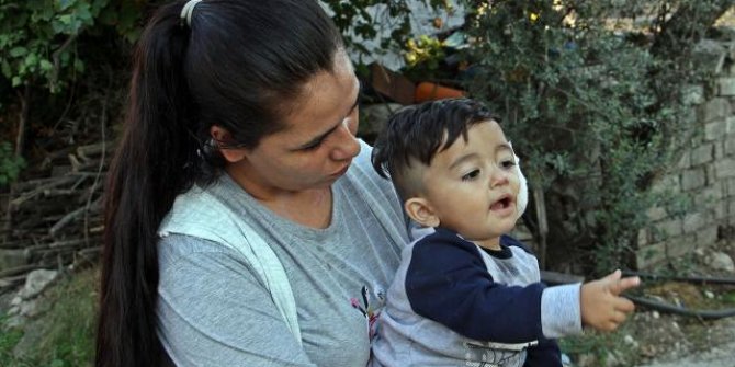 Pitbull saldırdı, baba ve 11 aylık oğlu hastanelik oldu