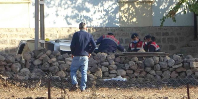 Arazi kavgasında 3 kardeş öldü, anne ağır yaralandı