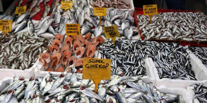 Balığın kentinde en ucuz balık 7 TL, en pahalısı 150 TL