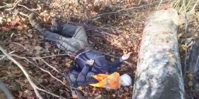 Devrilen ağacın altında kaldı hayatını kaybetti