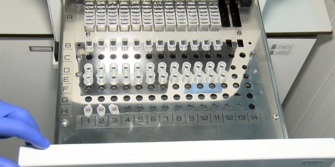 Mehmetçiğin sağlığı bu laboratuvara emanet