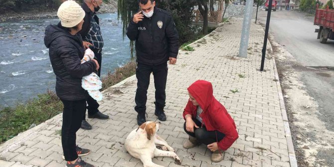 Silahla vurulan sokak köpeği için vatandaşlar ve polis seferber oldu