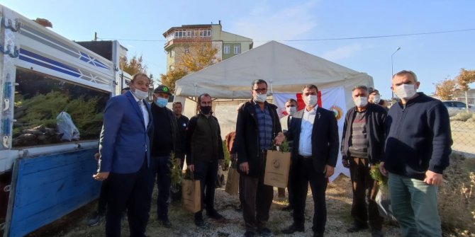Cihanbeyli’de fidan dağıtımı yapıldı