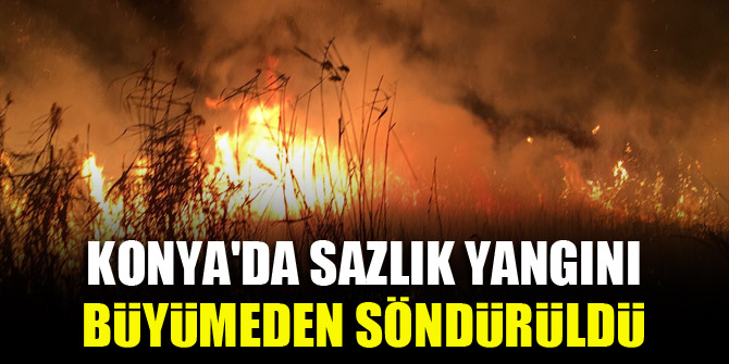 Konya'da sazlık yangını büyümeden söndürüldü
