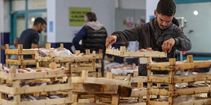 Samsun'da balık dükkanları kiraya verilecek