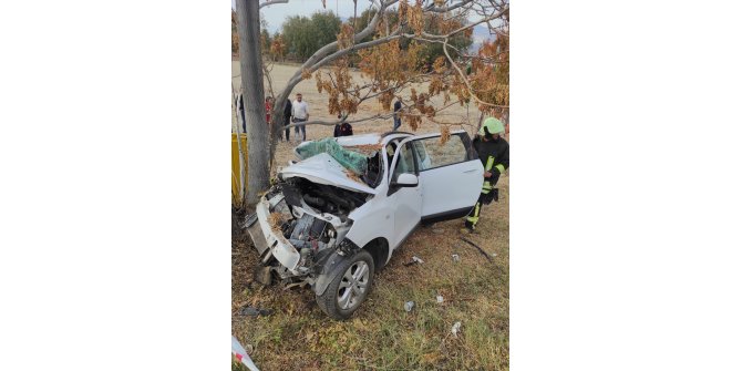 Ağaca çarpan otomobildeki kadın öldü, eşi yaralandı