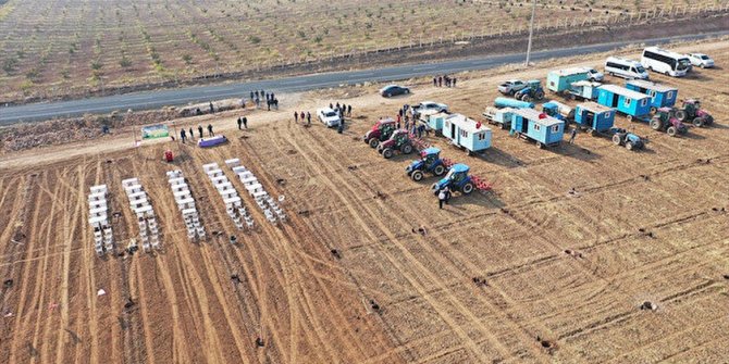 TİGEM'den kiralık tarlalar